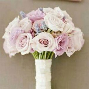 nur aini profile icon