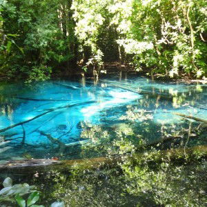 kitty sweet profile icon