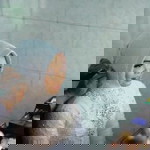 Dinar Septi Pratiwi profile icon