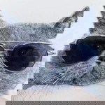 June Junejira (Junejii) profile icon