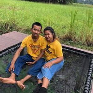 มาย แลนด์. profile icon