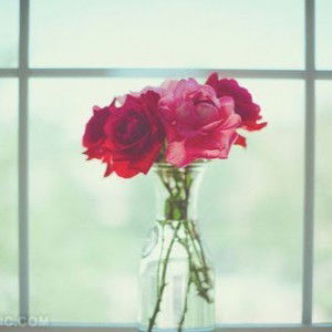 Yasmin Pratiwi Zahra profile icon