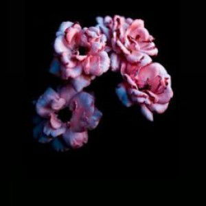 Ciksue Sue profile icon