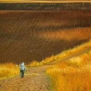 Haura Rinjani Azzahra profile icon