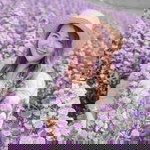 Wonder Pastel profile icon