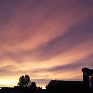 Annisa Nur Hakim profile icon