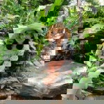 Nokyung Nok profile icon