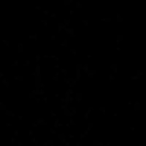 Charlene Villareal profile icon