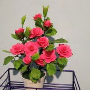 Malla Mom's FaQih profile icon