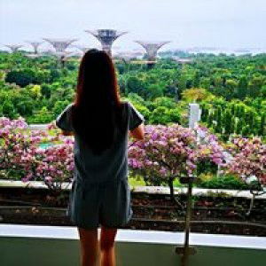 Sally Lim profile icon