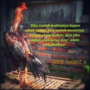 Jecx Heart profile icon