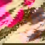 Lhen Dagani profile icon