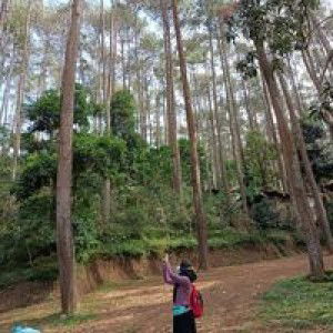 Ulma Madya Muchti profile icon