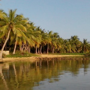Rabiatul Adawiyah profile icon
