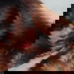 Ahl Bue profile icon