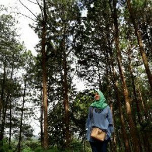 Darsini 257 profile icon