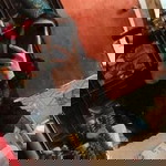 Thicha Tong profile icon