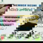 Silvia Ayeni profile icon