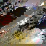 Maghfirah Nur profile icon