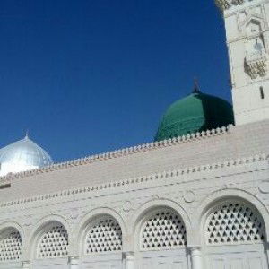 Mar Hani profile icon