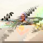 Keity Sky profile icon