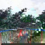 Nor-lailah Ibrahim profile icon