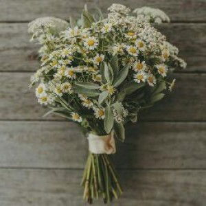 Mom Nada profile icon