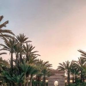 Andrifan profile icon