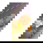 Eirelav Yuiann Flores Tabafunda profile icon