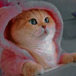 aulia sagita profile icon