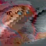 aulia sagita profile icon