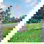 Ina Nurapriani Lestari profile icon