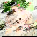 Oked Lee profile icon