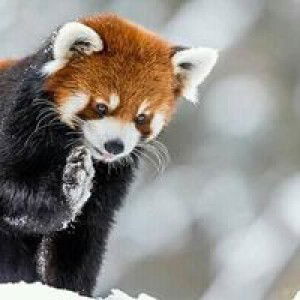 Novika Dewi Seviana profile icon