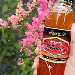 Novika Sari profile icon