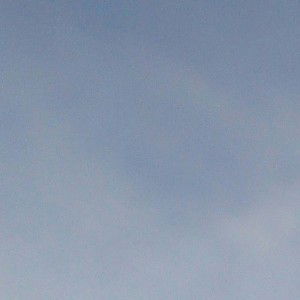 BB Single profile icon