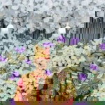 Saidatul Hikmah profile icon