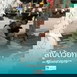 อ้น ณรงค์ ยารวง profile icon