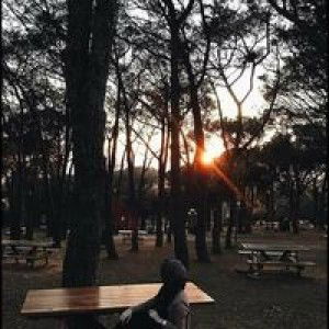 Yulianakoleksi Yulianakoleksi profile icon