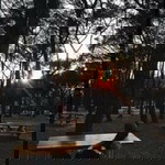 Yulianakoleksi Yulianakoleksi profile icon