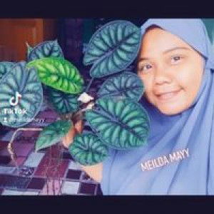 Meilda Mayy profile icon