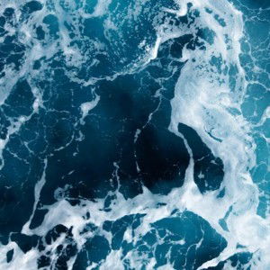 Michelle Fong profile icon