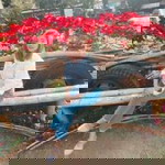 Anneny Wanvisa profile icon