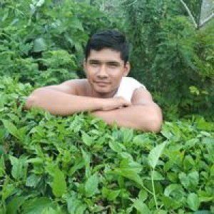 Jaymar Tagaro profile icon