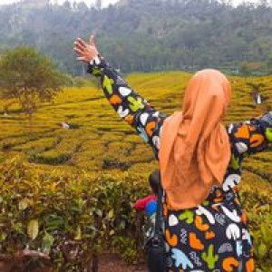 Eli Hendalia Amri profile icon