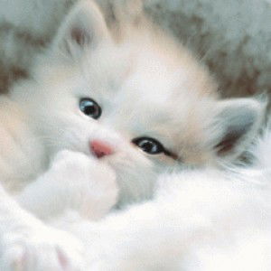 Imron imron profile icon