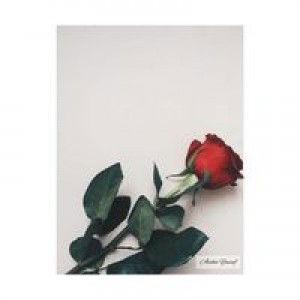 Aisha Yusuf profile icon