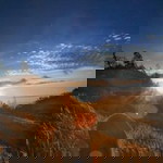 Lutfy Khoirun Nisa profile icon