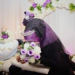 Emmaa Nisya profile icon