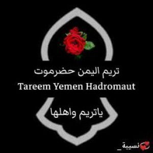 Nusaibah Nurdin profile icon